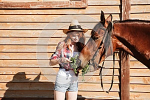 Smiling woman cowgirl giving fresh grass ti her horse