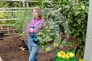 Smiling woman with crossed arms ,standing next to the tree