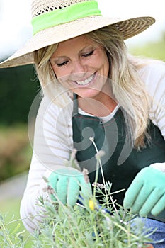 Smiling woman enjoying gardening