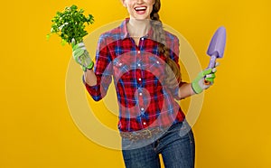 Smiling woman grower with fresh parsley and gardening tool