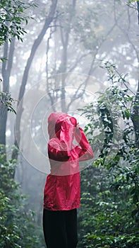 Smiling woman hiking through lush, misty forest on a rainy day photo