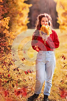 Smiling woman holding a bouquet of fallen autumn leaves in nature, a walk in the park on a sunny autumn day