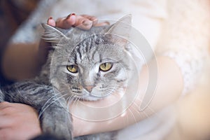 Smiling woman at home holding her lovely fluffy cat.  Pets and lifestyle concept.