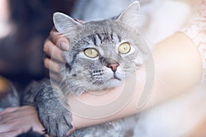 Smiling woman at home holding her lovely fluffy cat.  Pets and lifestyle concept.