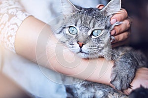 Smiling woman at home holding her lovely fluffy cat.  Pets and lifestyle concept.