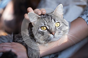 Smiling woman at home holding her lovely fluffy cat.  Pets and lifestyle concept.