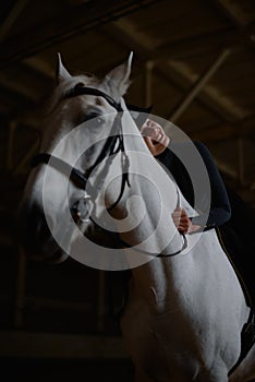 Smiling woman hugs horse neck sitting on it.