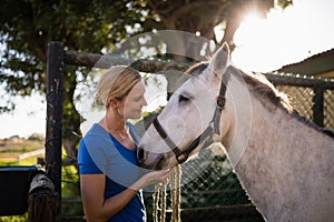 Smiling woman looking at horse at barn