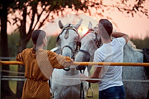 Smiling woman and men on the ranch at sunset preparing their horses for a ride