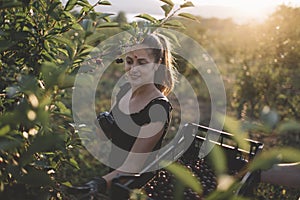 Smiling woman picking cherries from tree