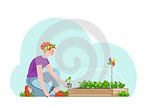 Smiling woman plants out seedlings to wooden seedbed in vegetable garden