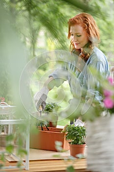 Smiling woman replanting flowers