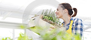 Smiling woman smell aromatic spice herbs on white background, spring garden