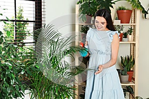 Smiling woman spraying indoor plants