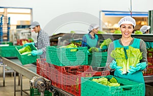 Smiling woman vegetable factory worker with lettuce