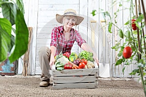 Smiling woman in vegetable garden with wooden box full of vegetables on white wall background with tools