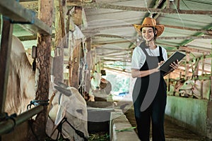 Smiling woman wearing cowboy hat checks cows eating while carrying tablet