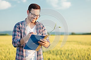 Smiling young agronomist or farmer measuring wheat plant size in a field, writing data into a questionnaire