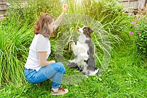 Smiling young attractive woman playing with cute puppy dog border collie in summer garden or city park outdoor background. Girl