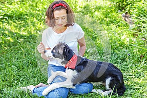 Smiling young attractive woman playing with cute puppy dog border collie in summer garden or city park outdoor background. Girl