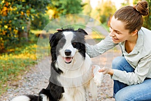 Smiling young attractive woman playing with cute puppy dog border collie on summer outdoor background. Girl holding