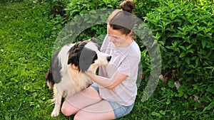 Smiling young attractive woman stroking playing with cute puppy dog border collie on summer outdoor background. Owner