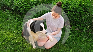 Smiling young attractive woman stroking playing with cute puppy dog border collie on summer outdoor background. Owner