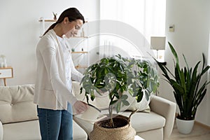 Smiling young beautiful woman watering green plants at home.