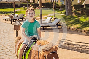 Smiling, young boy ride a pony horse. Horseback riding in a tropical garden