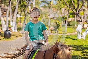 Smiling, young boy ride a pony horse. Horseback riding in a tropical garden