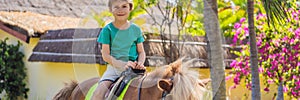 Smiling, young boy ride a pony horse. Horseback riding in a tropical garden BANNER, LONG FORMAT