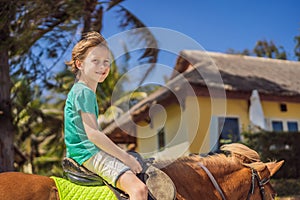 Smiling, young boy ride a pony horse. Horseback riding in a tropical garden