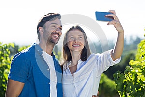 Smiling young couple taking selfie at vineyard
