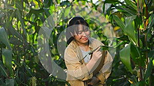 Smiling young female farmer checking the quality before harvesting. Agribusiness concept