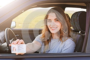 Smiling young female with pleasant appearance shows proudly her drivers license, sits in new car, being young inexperienced driver