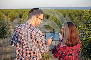 Smiling young male and female agronomists and farmers inspecting young fruit orchard, using tablet photo