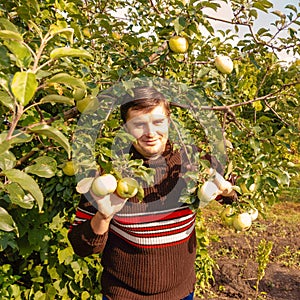 A smiling young man enjoys harvesting ripe white apples