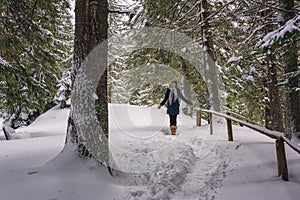 Smiling young woman enjoys winter in beautiful pine forest, scenic nature landscape, outdoor travel background