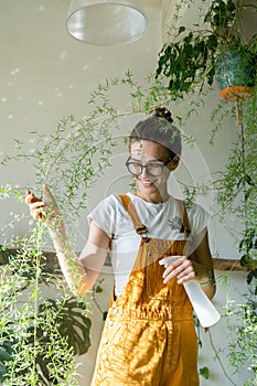 Smiling young woman gardener spraying lush asparagus fern houseplant.Love of plants.Indoor garden