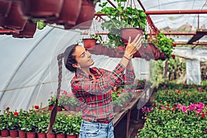 Smiling young woman holding potted flower in a greenhouse..