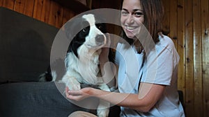 Smiling young woman stroking playing with cute puppy dog border collie on couch sofa at home indoor. Owner girl with pet