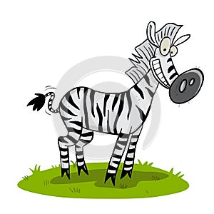 Smiling zebra in the savanah