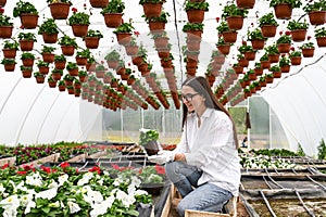 Smilling farmer in garden gloves taking care of plant, examining flowers in greenhouse. People, job and lifestyle