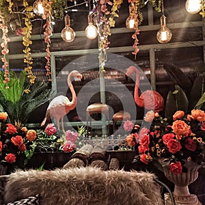 The smilling flamingo in the dinning room