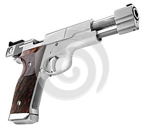 Smith Wesson .45