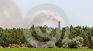 Smoke, air emissions from an industrial pipe against green trees. Pollution of the environment, dirty industrial dim from the fact