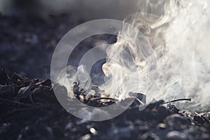 Smoke and ashes of bonfire long exposure. close-up macro