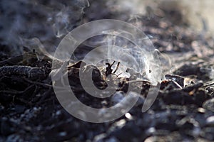 Smoke and ashes of bonfire long exposure. close-up macro