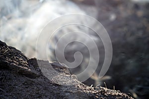 Smoke and ashes of bonfire long exposure. close-up macro