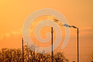 Smoke from the boiler pipes at sunset. Winter landscape